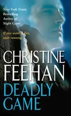 Christine Feehan Deadly Game обложка книги