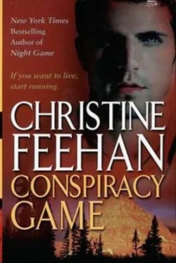 Christine Feehan Conspiracy Game обложка книги