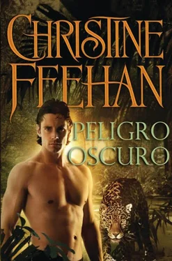 Christine Feehan Peligro Oscuro обложка книги