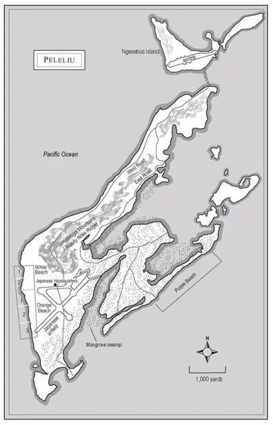 The island was coral rock shaped like a crab claw with two prongs a larger - фото 4