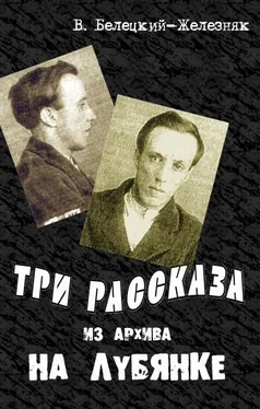 Владимир Белецкий-Железняк Три рассказа из архива на Лубянке обложка книги