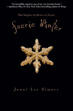 Janni Simner Faerie Winter обложка книги