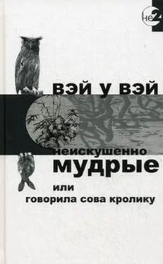 Вэй Вэй Неискушенно мудрые обложка книги