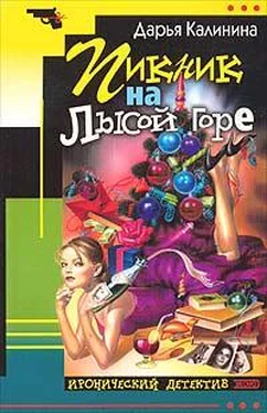Дарья Калинина Пикник на Лысой горе обложка книги