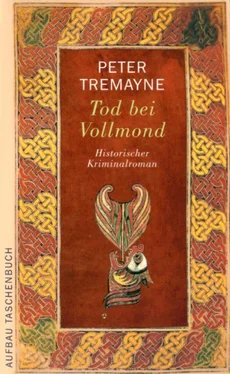 Peter Tremayne Tod bei Vollmond обложка книги