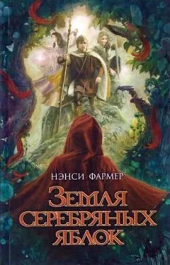 Нэнси Фармер Земля Серебряных Яблок обложка книги