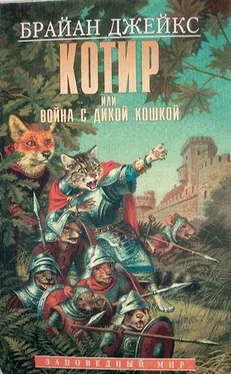 Брайан Джейкс Котир, или война с дикой кошкой обложка книги