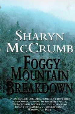 Sharyn McCrumb Foggy Mountain Breakdown and Other Stories