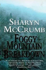Sharyn McCrumb - Foggy Mountain Breakdown and Other Stories