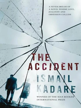 Ismaíl Kadaré The Accident обложка книги