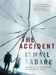 Ismaíl Kadaré - The Accident