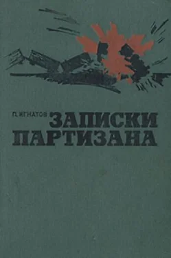 Петр Игнатов Записки партизана обложка книги