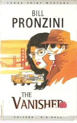 Bill Pronzini - The Vanished