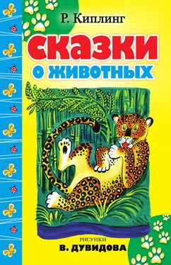 Редьярд Киплинг Сказки о животных (сборник) обложка книги