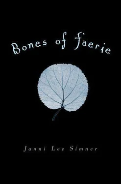 Janni Simner Bones of Faerie обложка книги