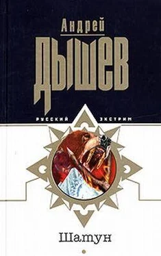 Андрей Дышев Шатун обложка книги