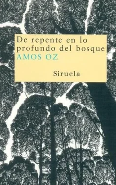 Amos Oz De repente en lo profundo del bosque обложка книги