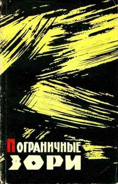 Иван Медведев Пограничные зори обложка книги