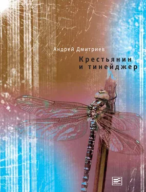 Андрей Дмитриев Крестьянин и тинейджер обложка книги