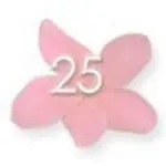 I SLEPT WELL that night the best nights sleep since my arrival night in - фото 28