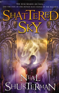 Нил Шустерман Shuttered Sky обложка книги