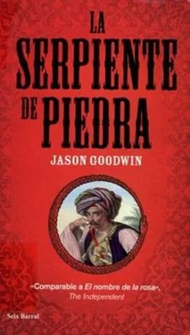 Jason Goodwin La serpiente de piedra обложка книги