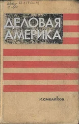 Н Смеляков - Деловая Америка - записки инженера