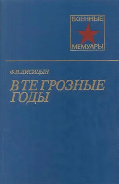 Федор Лисицын В те грозные годы обложка книги