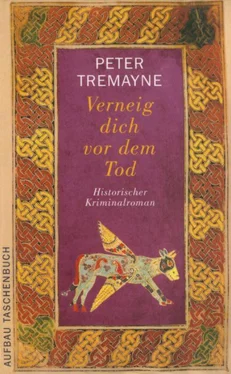 Peter Tremayne Verneig dich vor dem Tod обложка книги