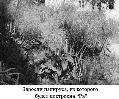 Я часто замечал что подготовка к путешествию часто оказывается более сложной - фото 17