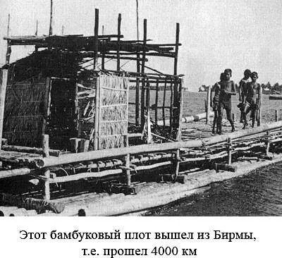 В 1986 1987 и 1988 годах мы предприняли экспедиции на остров Пасхи чтобы - фото 76