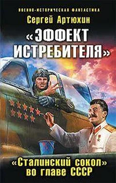 Сергей Артюхин «Эффект истребителя».«Сталинский сокол» во главе СССР обложка книги