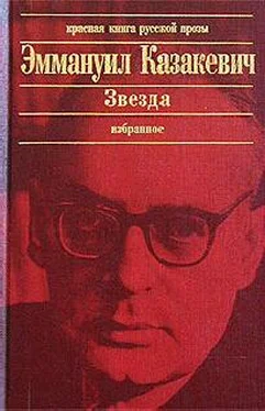 Эммануил Казакевич Двое в степи обложка книги