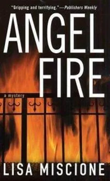 Lisa Miscione Angel Fire обложка книги