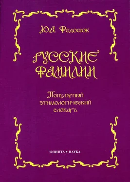 Юрий Федосюк Русские фамилии. Популярный этимологический словарь обложка книги