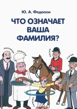 Юрий Федосюк Что означает ваша фамилия? обложка книги