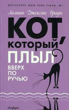 Лилиан Браун Кот, который плыл вверх по ручью обложка книги