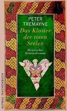 Peter Tremayne Das Kloster der toten Seelen обложка книги