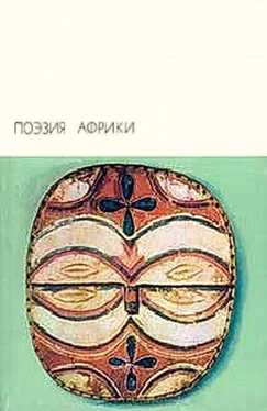 Антология Поэзия Африки обложка книги