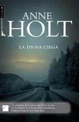 Anne Holt - La Diosa Ciega