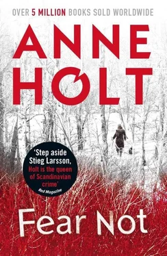 Anne Holt Fear Not обложка книги