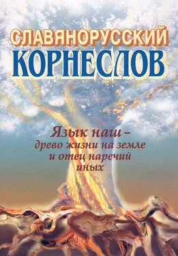 Александр Шишков Славянорусский корнеслов обложка книги