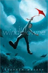 Stephen Messer - Windblowne