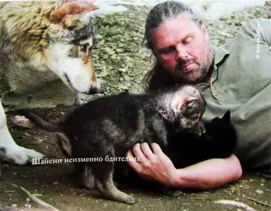 Шайенн неизменно бдительна В роли омегасамца предотвращающего ссору двух - фото 11