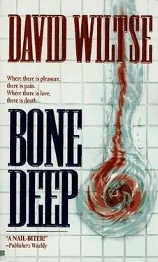 David Wiltse Bone Deep обложка книги