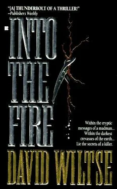 David Wiltse Into The Fire обложка книги