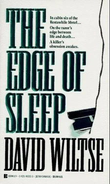 David Wiltse The Edge of Sleep обложка книги