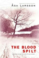 Åsa Larsson - The Blood Spilt