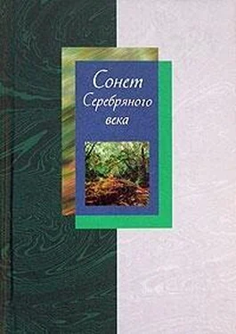 Людмила Мартьянова Сонет Серебряного века. Сборник стихов. В 2 томах. Том 2 обложка книги