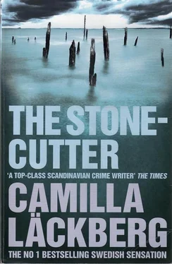 Camilla Läckberg The Stone Cutter обложка книги